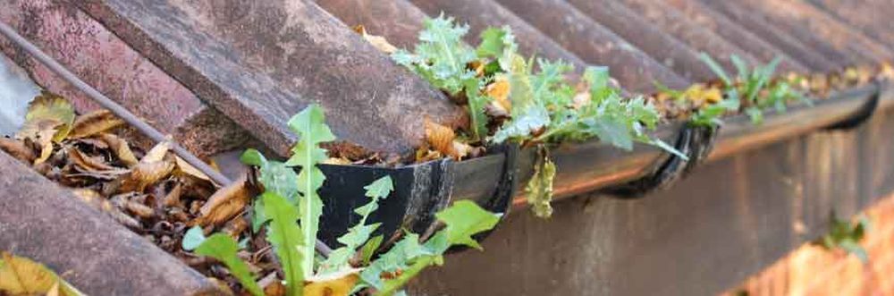 local CM17 gutters