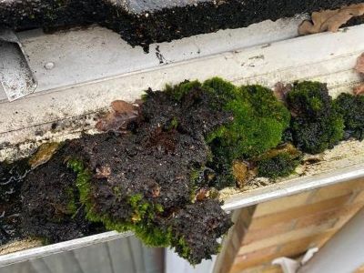 Harlow gutter cleaning services